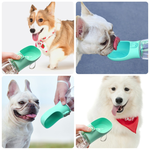 Ciotola Portatile per Cani e Gatti - Distributore d'Acqua da Viaggio